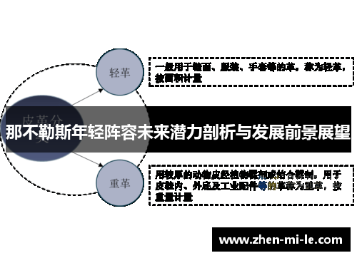 那不勒斯年轻阵容未来潜力剖析与发展前景展望